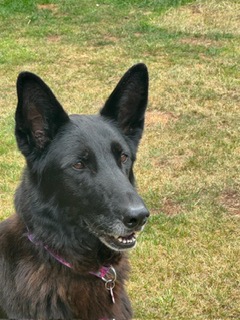 ESME - SURREY